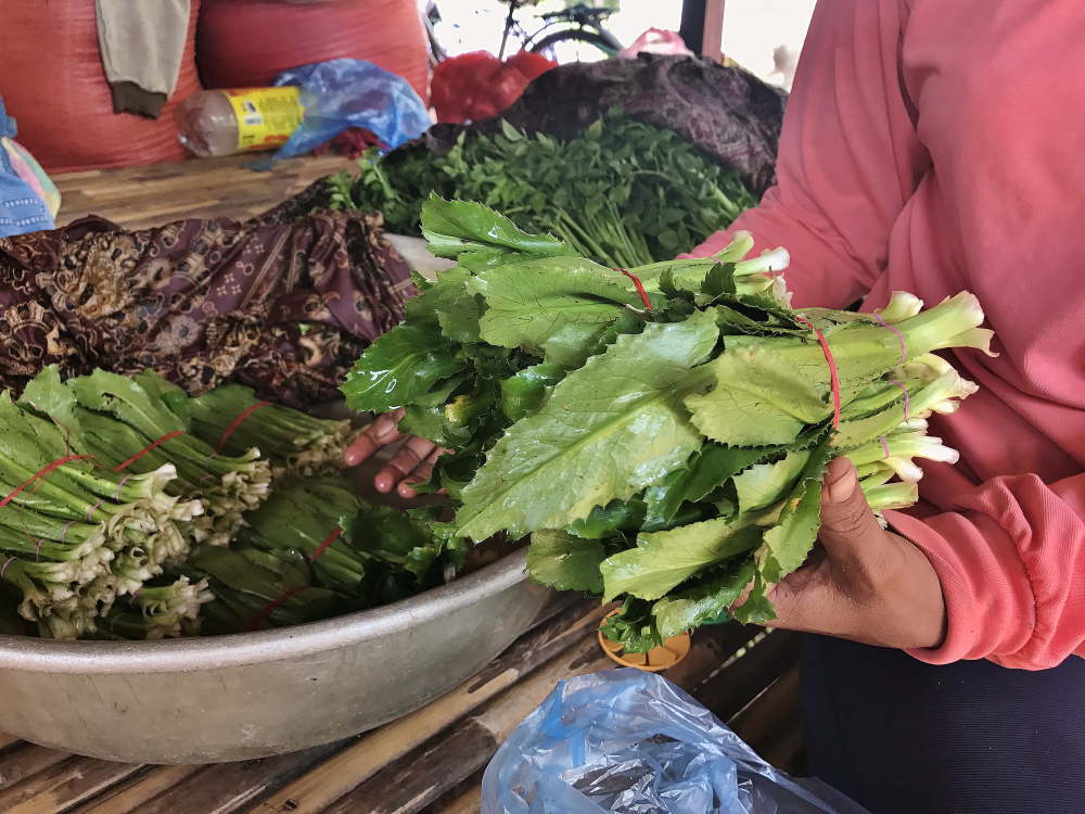 カンボジア バコン村のハーブ栽培